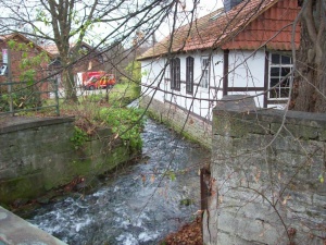 Lutter herberhausen poepperl.jpg